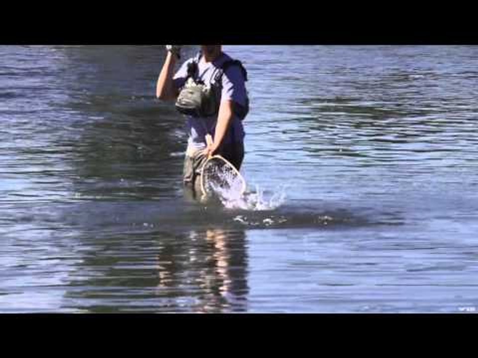In the Loop - Gordon Vanderpool - Nantahala River