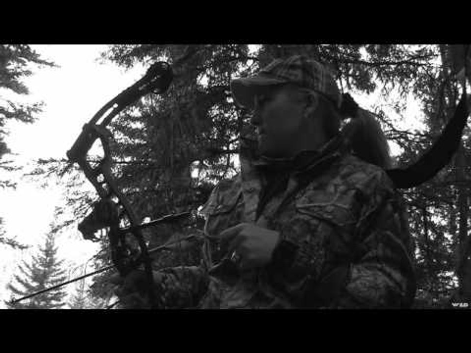 Archer's Choice - Bear N' Down Alberta Style