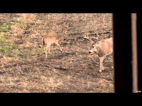 Archer's Choice - North Dakota Bucks and Ducks