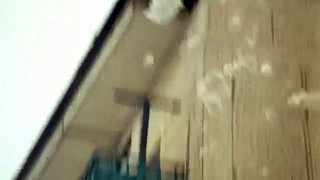 Джентльмены Удачи.'Гражданина, ты туда не ходи'