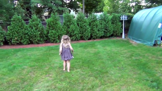 Ultimate Dog Shaming 2 Cute Dog Maymo & Puppy Penny