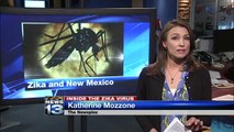 New Mexico doctor weighs in on local, Zika threat