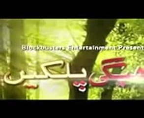 Bheegi-Palkein-Episode-4-Promo-A-Plus