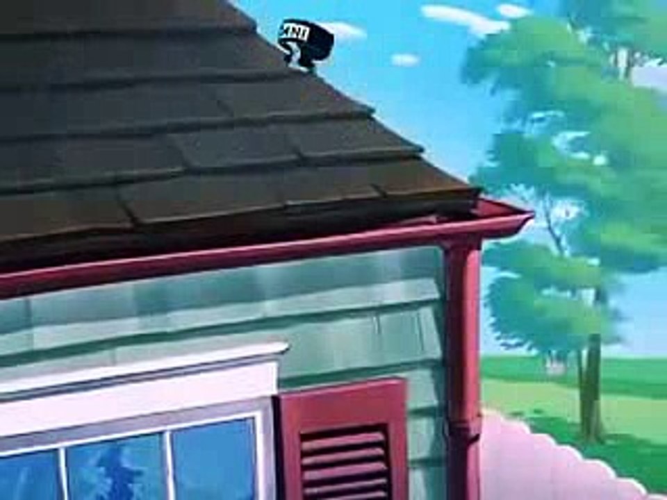 Tom And Jerry Cartoon in Urdu