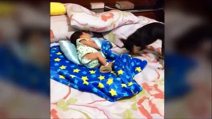 Bebeğin üzerini örten köpek! İnanılmaz...