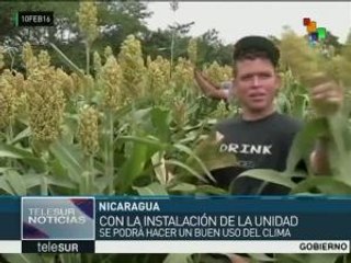 Nicaragua creará Unidad Especializada de Agrometeorología