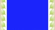 Jabra 100-96300001-60 - Auriculares de diadema cerrados Bluetooth azul