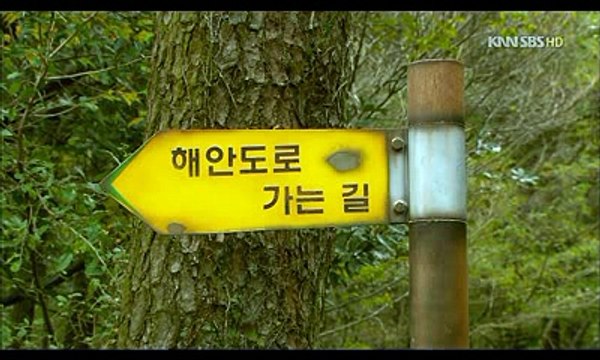 강서키스방∼ 『밤의』전쟁 ∼인천키스방＼＼전주키스방