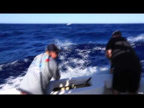 Sportsman 360 TV - Memorable Moments of Sportsman 360 TV