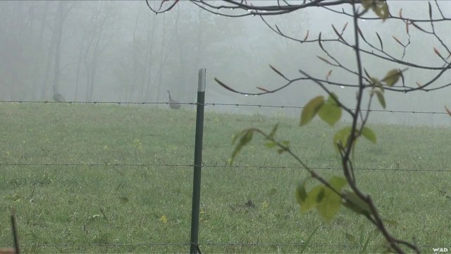 Hard Core Hunter - Hard Core Hunter Goes to the Birds