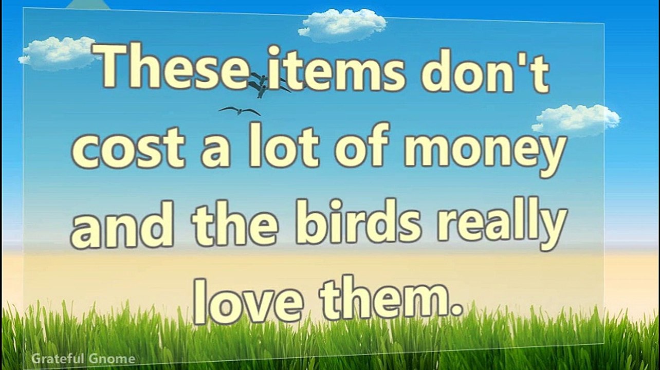 Surefire Ways Of Attracting Birds To Your Yard