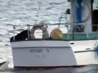 friendship has no boundaries