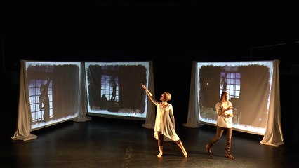 Camille Claudel - Danse, théâtre et vidéo - Création 2016 de la Cie Intersignes - Maude et Philippe Bulinge