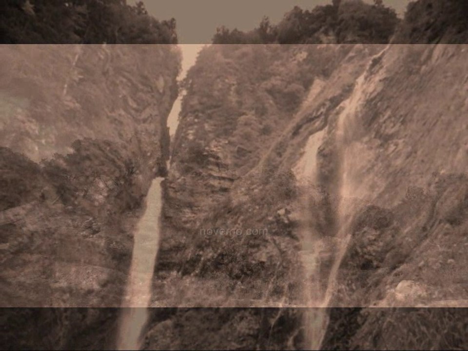 Douceur de la nature : De belles images : Laissez vous emporter