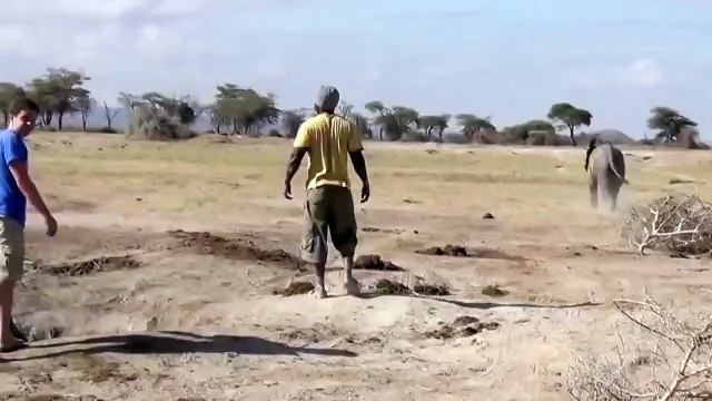 Любите своих родителей, пока они есть