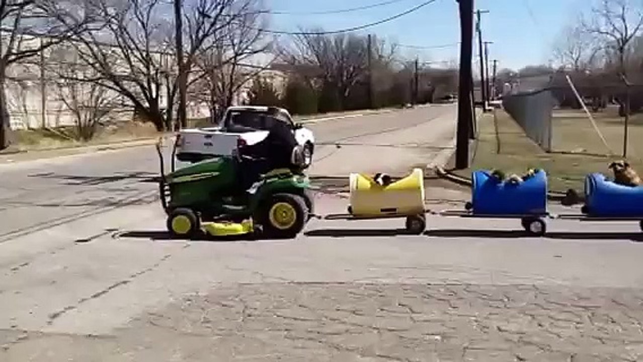 Il fabrique un train pour chiens abandonnés afin de leur faire vivre de nouvelles aventures... et ils adorent ça !