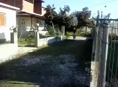 Kur gjërat nuk ecin sipas planit ^_^