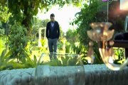 Tum Mere Kia Ho Top PAk Drama Episode 17 on Ptv Home