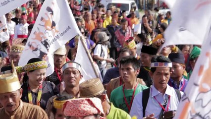 Oil Palm Free Islands-Indonesia