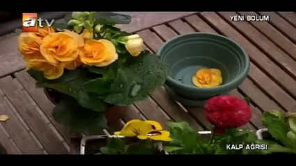 Kalp Ağrısı 4 Bölüm (Tek Parça)