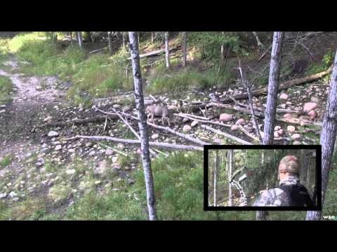 Fatal Impact Outdoors - Most Memorable Hunts