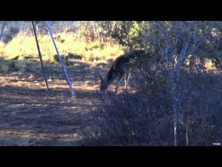 Just Kill'n Time - Big Dreams Under the Texas Sun