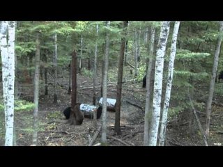 The Choice  - Adrenaline Rush in Manitoba