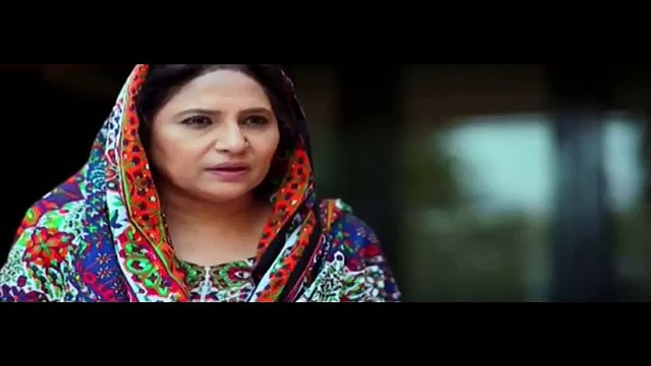Hamari Bitya Episode 100 on Ary Zinadagi