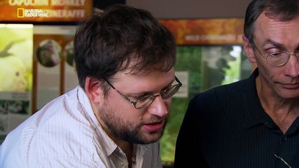 Le Sexe Chez Les Cro-Magnons