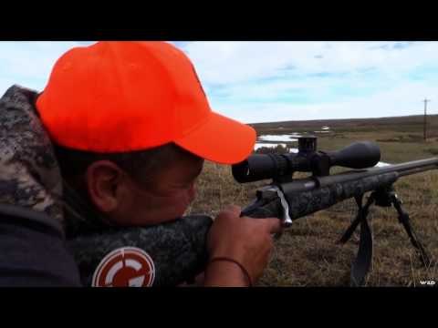 Long Range Pursuit - Kansas Mule Deer
