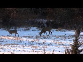 Campfire Stories - Sharing the Outdoors