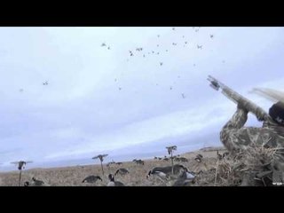 Mojo TV - Canadian Dreams in Ranchland Part 2