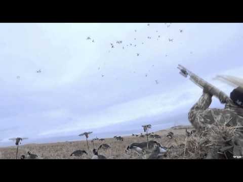 Mojo TV - Canadian Dreams in Ranchland Part 2