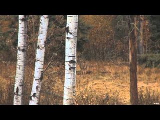 Moment of Impact - Hunting Outside the Border