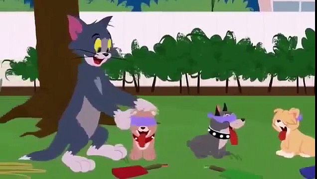 Dessin Animé Tom et Jerry en Francais 2015 HD - Dessin Animé complet Francais