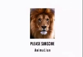 Смотреть это лев нападение гиена жестокость!