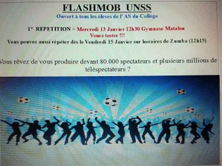 LE FLASHMOB 2016 Collège du Cèdre au VESINET