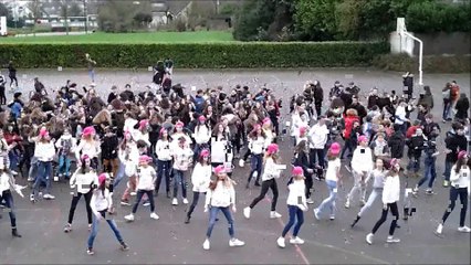 Flashmob Euro 2016 Dolto Pacé