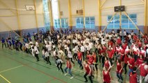 flashmob plan large euro 2016 LYCEE SARCEY DOURDAN 91