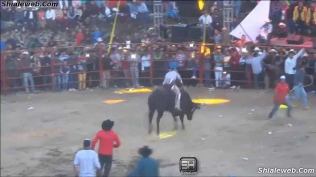 JARIPEO RANCHERO SELECCION DE MICHOACAN MEXICO EN EX HACIENDA DE CHARAHUEN TOROS SALVAJES Y JINETES PRO FEBRERO 2016