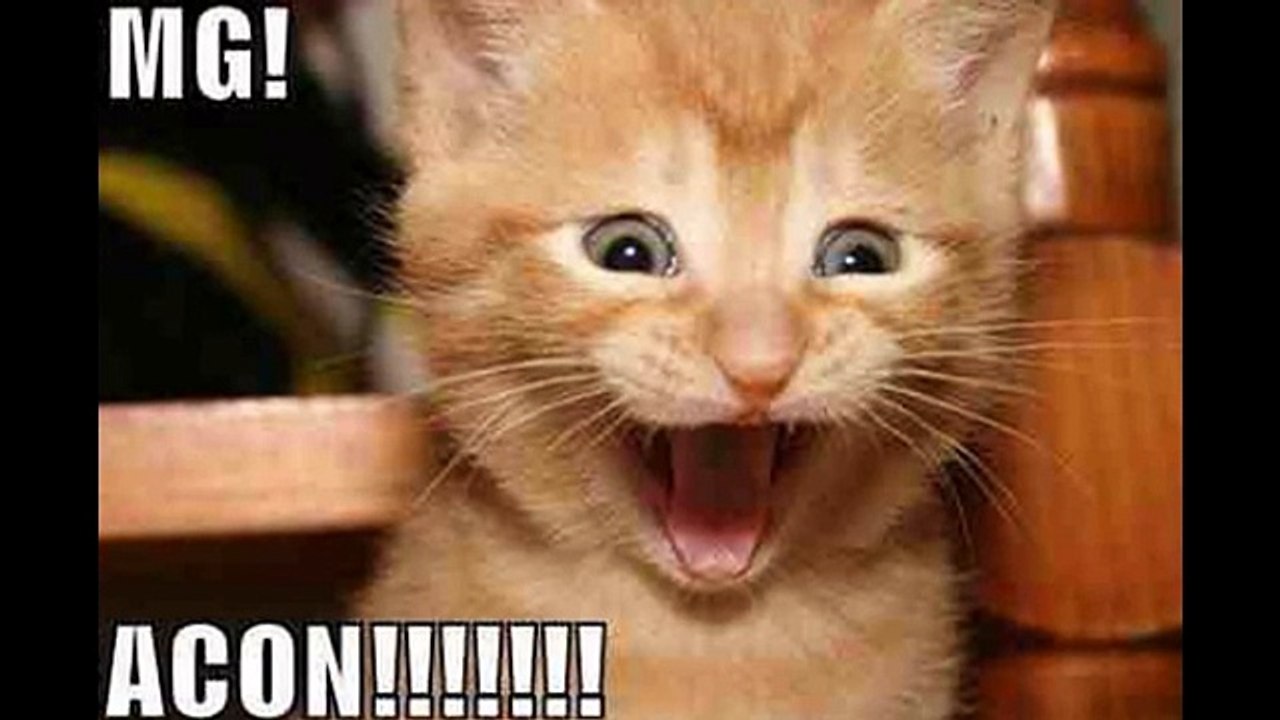 Funny cat fails challenge (IMNPOSSBLE)