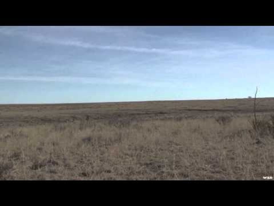 North American Fisherman  - Bull Shoals Bass