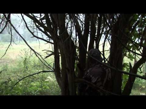 Intrepid Outdoors - Utah Mule Deer