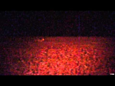 FOXPRO Furtakers - Virginia