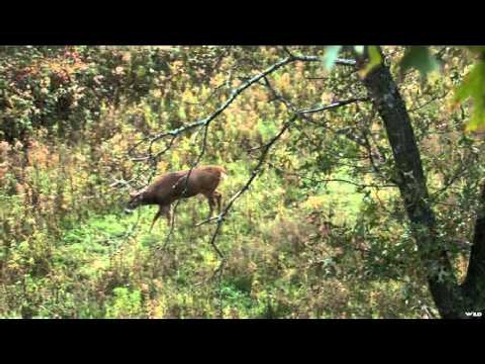 Hardcore Pursuit - Iowa Archery