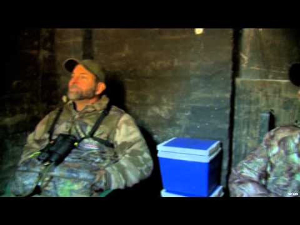 Primos - The Truth About Hunting - Africa Part Three