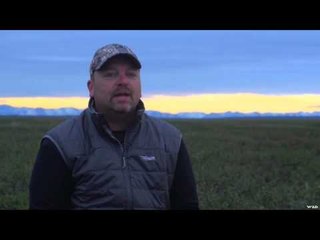 Dead Down Wind's Live the Wild Life - Alaska Part 1