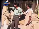 Dailymotion Pakistani Funny Video 3 a Funny video rel page 2 rel page 2