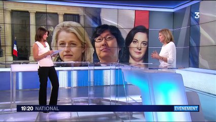 Remaniement ministériel : l'entrée des écologistes, un choix très stratégique