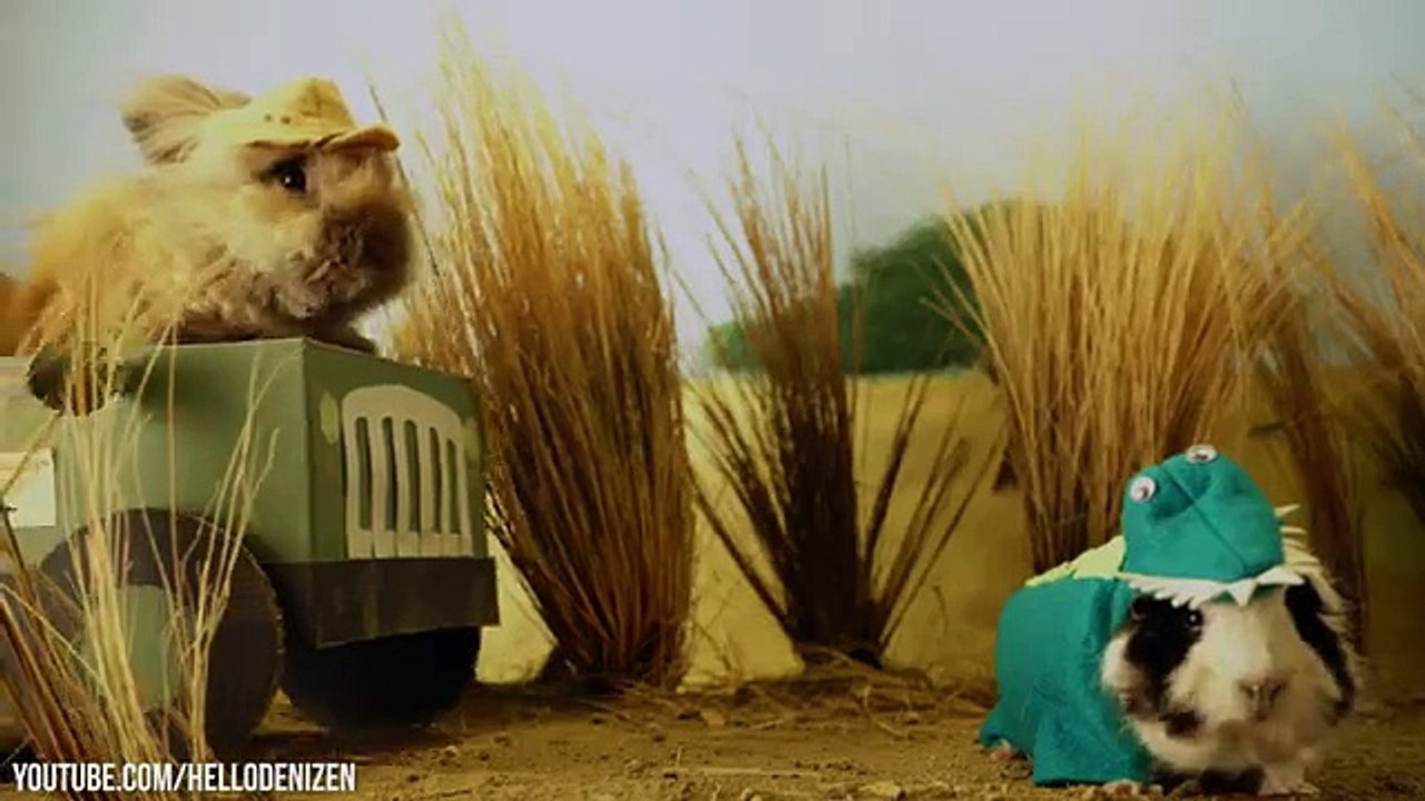 Tiny Animals Dressed